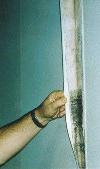 mold growing on the back side of wallpaper